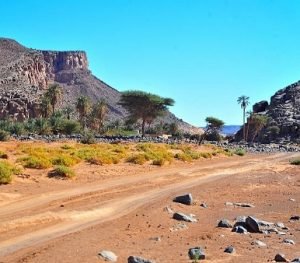 6 days 5 night Morocco trip from Marrakech