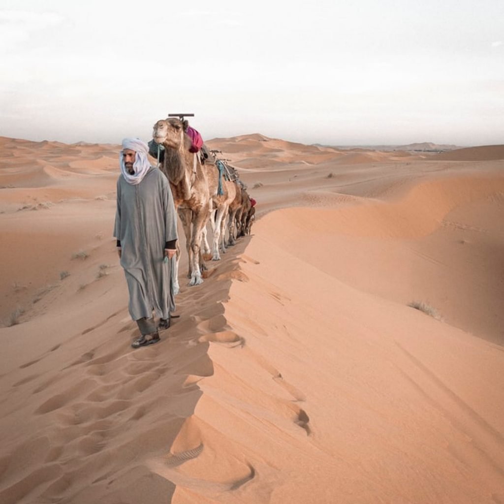 5 days desert tour from casablanca to marrakech