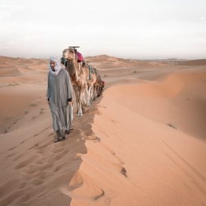 5 days desert tour from casablanca to marrakech