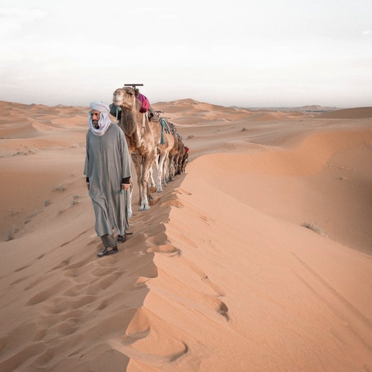 5 days desert tour from casablanca to marrakech