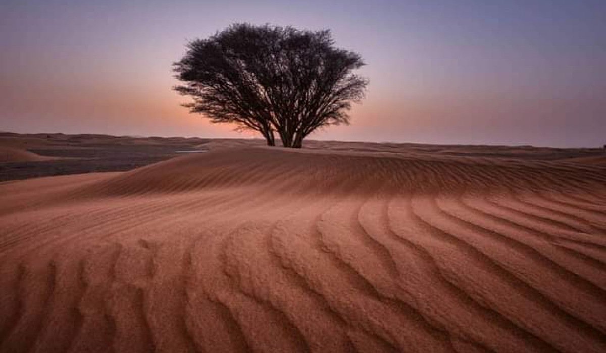 3-Nights-Merzouga-camel-tour 3 Nights Merzouga desert tour