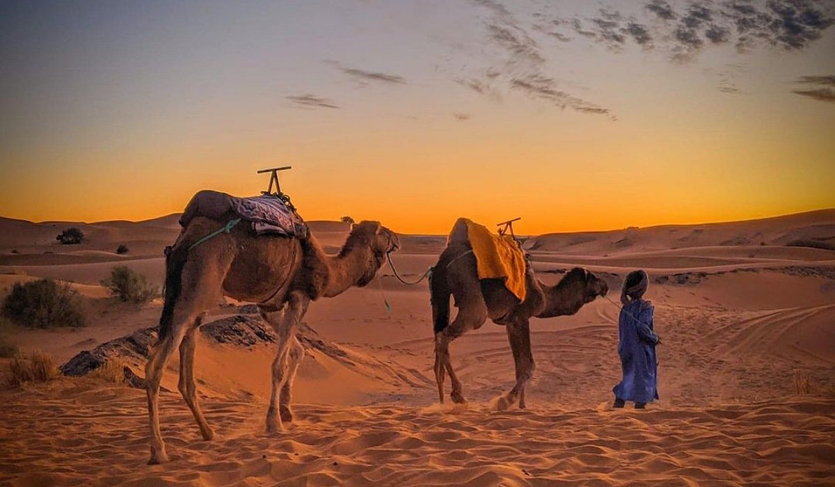 Overnight-camel-trek-in-Merzouga-desert Overnight Camel trek in Merzouga desert