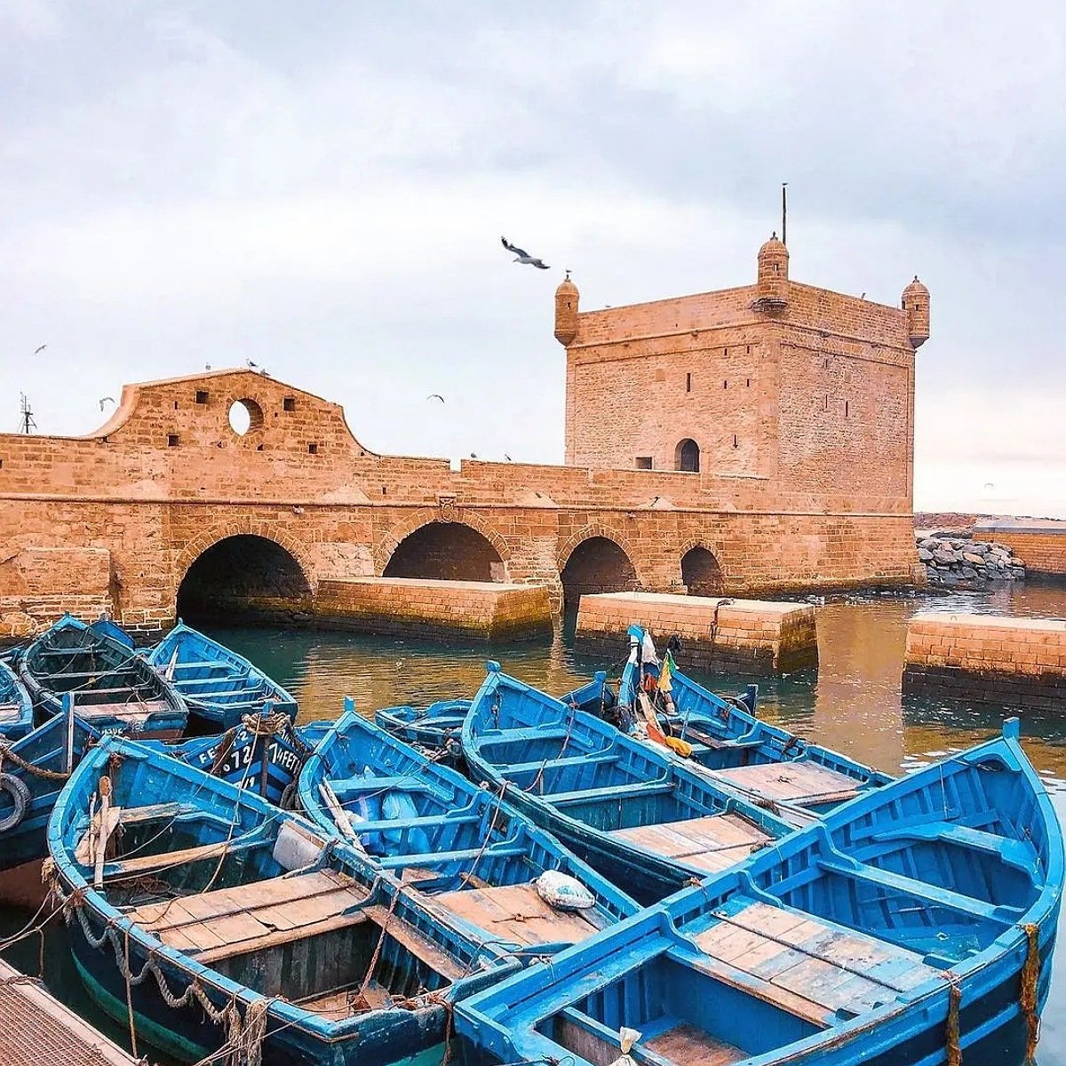 15 days morocco tour
