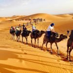 8 days tour from tangier to marrakech