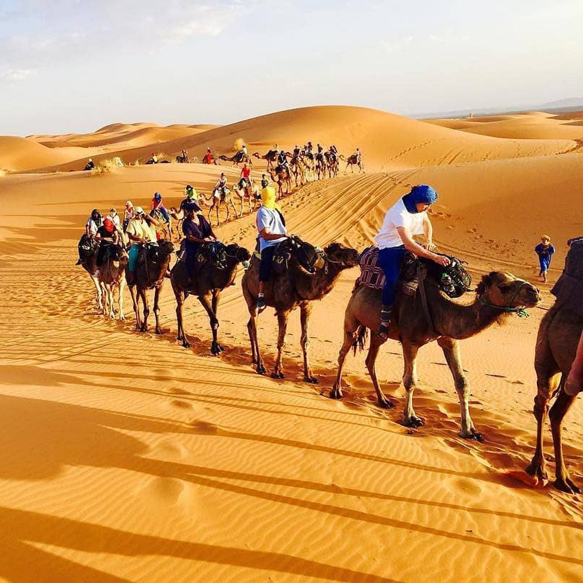 8 days tour from tangier to marrakech