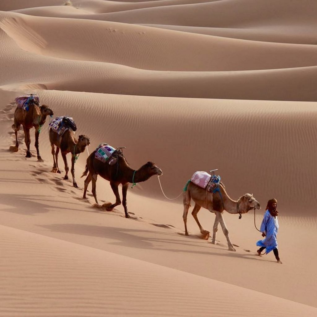 Fes to merzouga desert tour 3 days