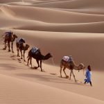 Fes to merzouga desert tour 3 days