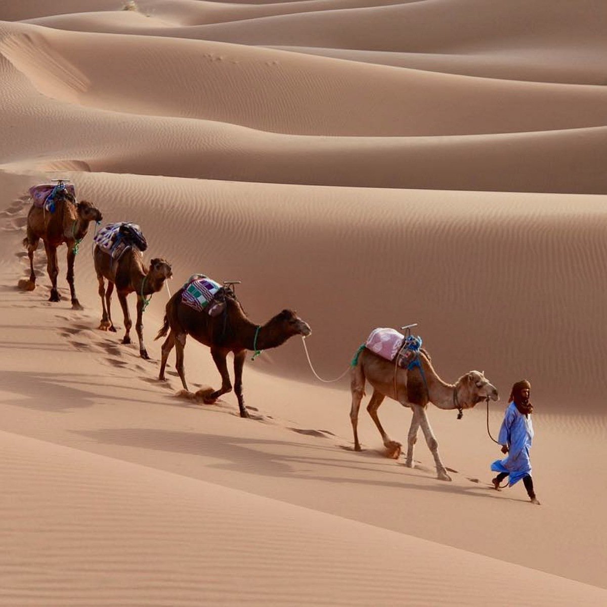 Fes to merzouga desert tour 3 days