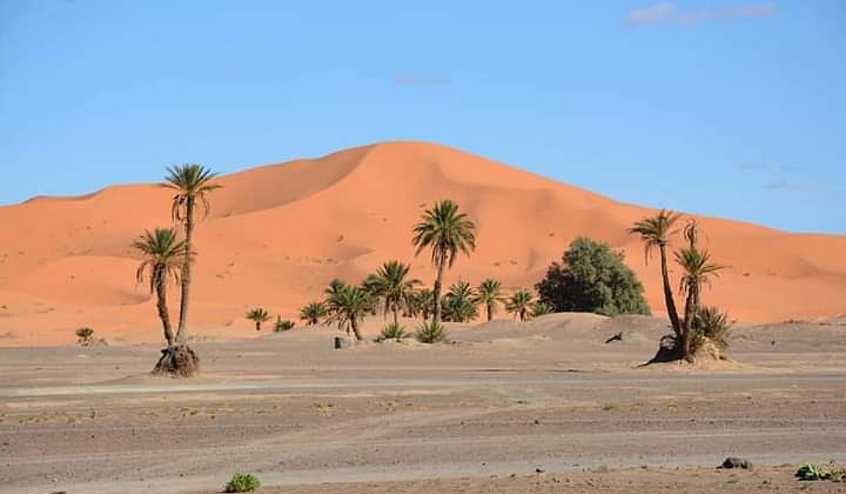 sahara desert morocco