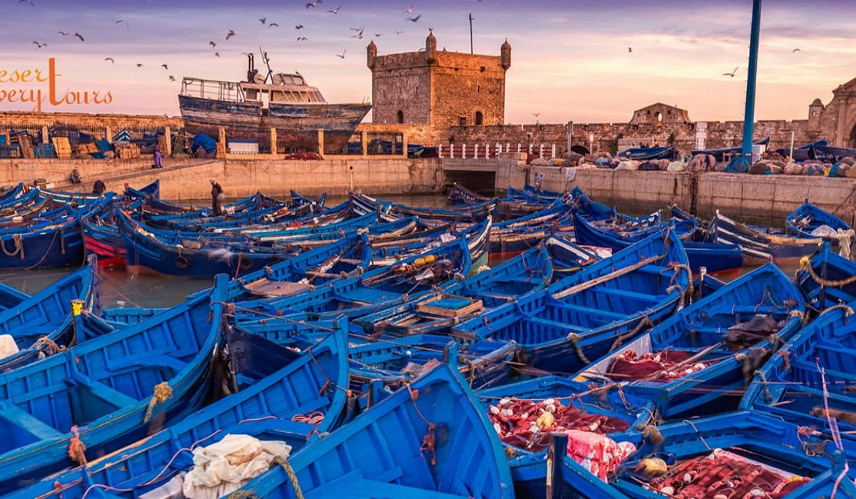 Top-13-places-to-visit-in-Morocco Essaouira Morocco