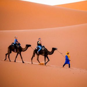 4 days camel trek from marrakech to erg chebbi