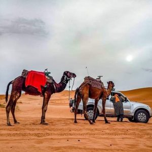 5 days desert tour from marrakech to fes
