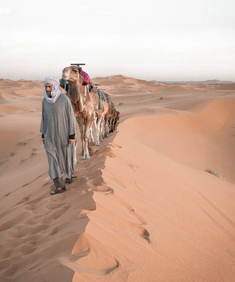 5 days desert tour from casablanca to marrakech