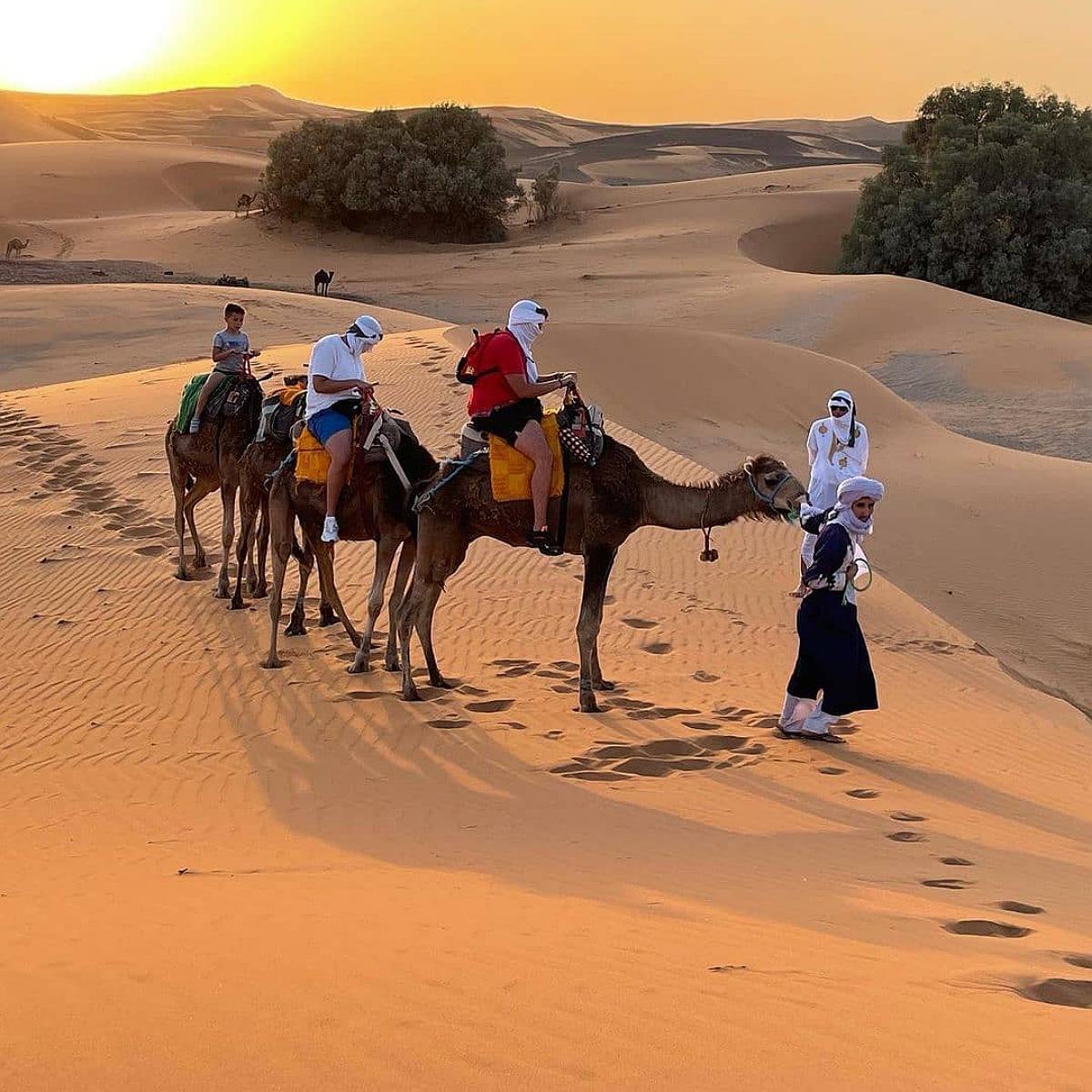 3 nights camel ride in Merzouga desert