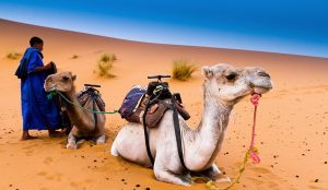 10 days Morocco itinerary from Casablanca