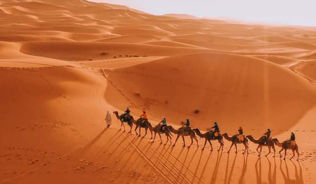 Sahara desert morocco