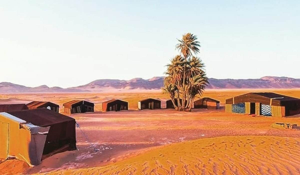 visit zagora desert morocco