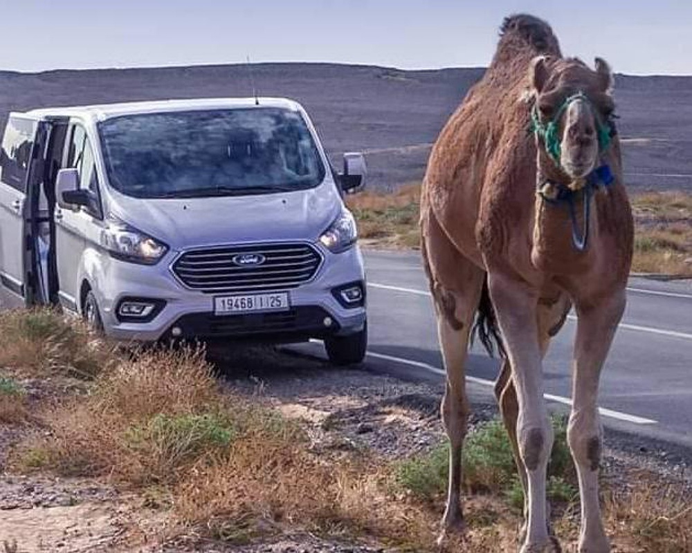 RENT A CAR WITH DRIVER IN MOROCCO